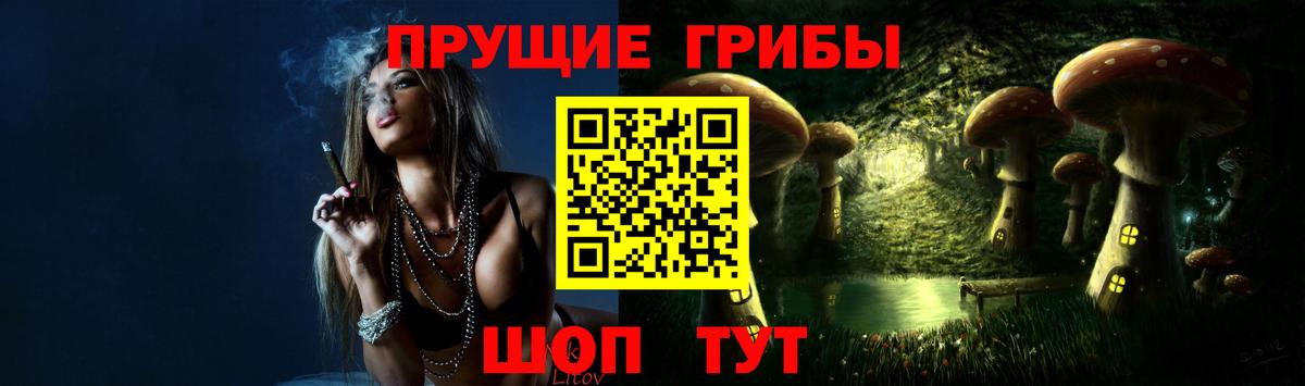 Сертолово  наркотики  Вход с VPN  Псилоцибиновые грибы Psilocybine cubensis 